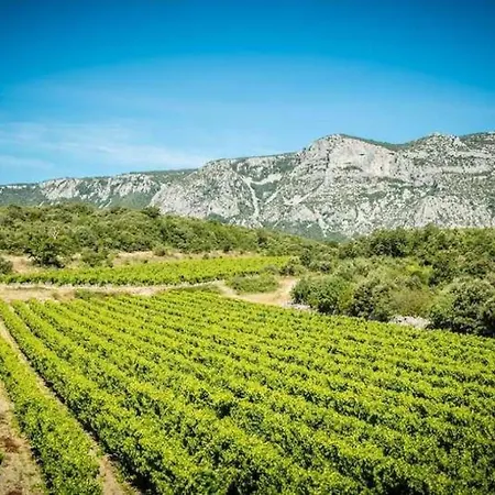 Bergerie Du Pic Saint-loup *