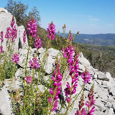 Bergerie Du Pic Saint-loup Дом отдыха *